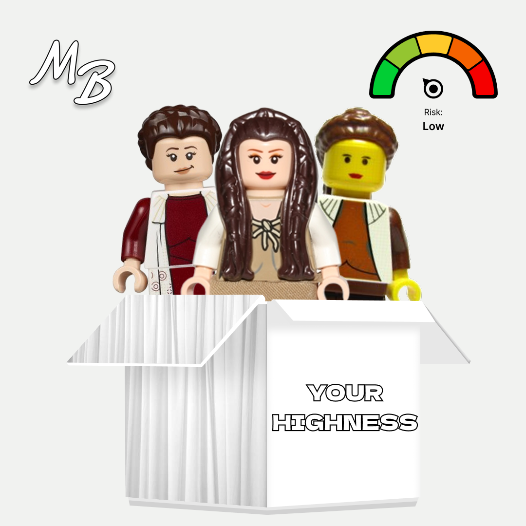 LEGO Star Wars Mystery Box Minifigure - Princess Leia - Check Description for Details
