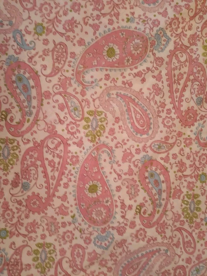 POTTERY BARN Kids Twin Brooklyn Paisley Pink Duvet Cover Floral Flower