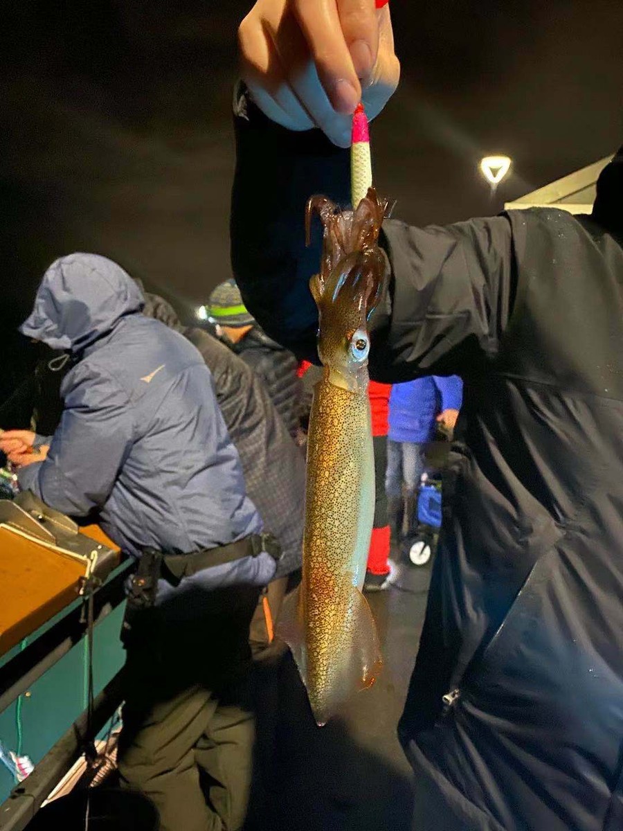 Squid Jig 4pcs Super Glow In The Dark Jigs East Coast West - Foto 8