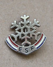 Joli Insigne, broche médaille ski ESF " Flocon " Fournier
