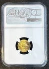 Two Proof 69 NGS 1/10 oz gold american eagle coins