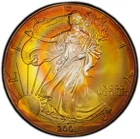 2001 PCGS MS67 | Monster Toned Silver Eagle - US Coin $1