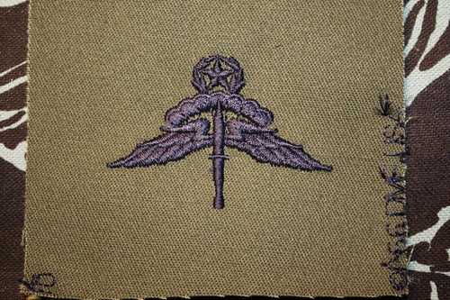 USAF HALO Free Fall Jump Master Paracaidista Aerotransportado Paracaídas Tela Alas Azules  - Imagen 1 de 5