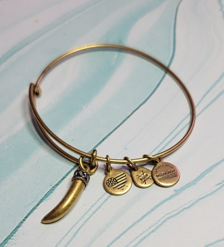 Alex And Ani Gold Horn Bangle Charm Bracelet