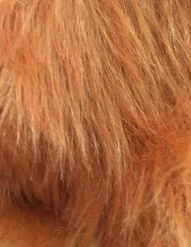 Luxury Long Haired Faux Fur Fabric - Various lengths - AC356 - Fleece - Hair - Picture 18 of 21