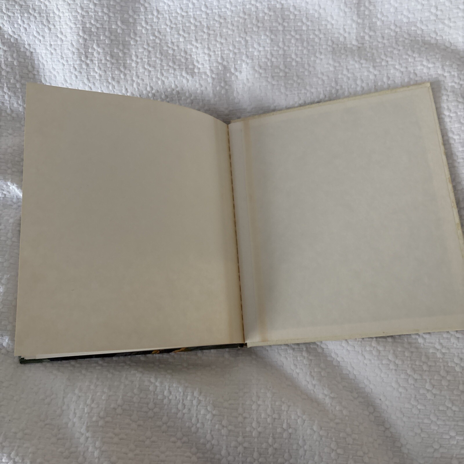 Jason and the Golden fleece by Naden  1981