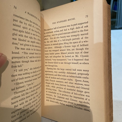 1883 A Washington Winter by Madeleine Vinton Dahlgren - Picture 14 of 19