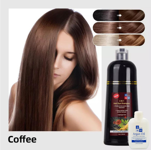 BNM Health 3 in 1 Hair Dye Shampoo Instant Gray Coverage Her