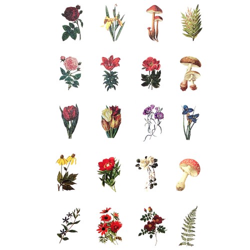 Wrapables Decorative Scrapbooking Washi Stickers, DIY Stationery Diary (60pcs) - Picture 7 of 38