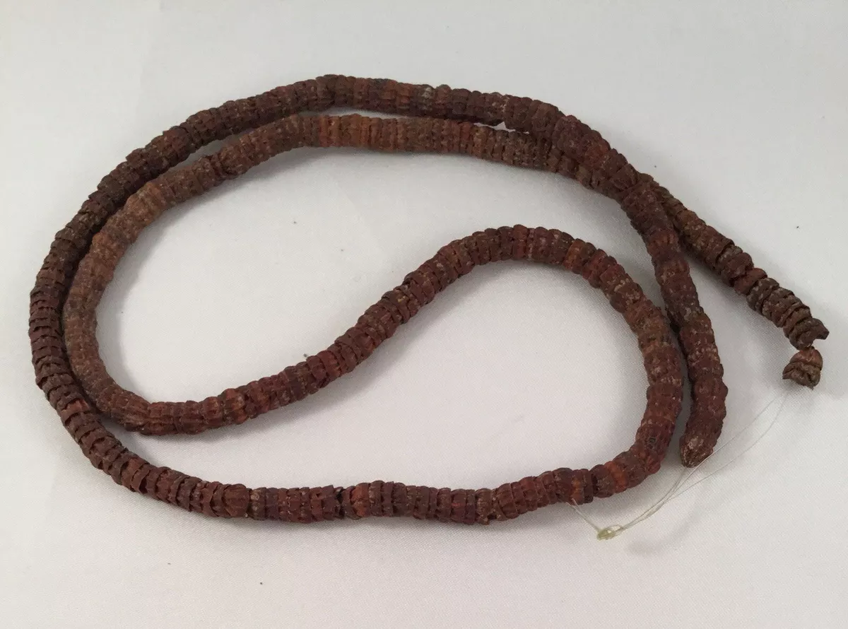Vintage Australian Aboriginal Jewelry Necklace seed pods nuts