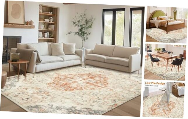Area Rugs 6×9 Living Room Rug: Large Washable Rugs 6×9 Boho Vintage 6'x9' Beige