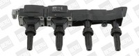 BorgWarner (Beru) ZüNdspule ZSE046 FüR CitroËN Peugeot