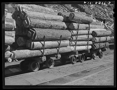Butte Montana Anaconda Copper Mining Company 1942 Timbers on Trucks Mine Cage