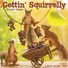 Willow Creek Press Calendars, Getting Squirrelly 2025 Wall Calendar