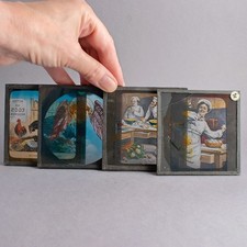 Antique Set 4 MAGIC LANTERN SLIDES For BIRDS CUSTARD POWDER Advertising