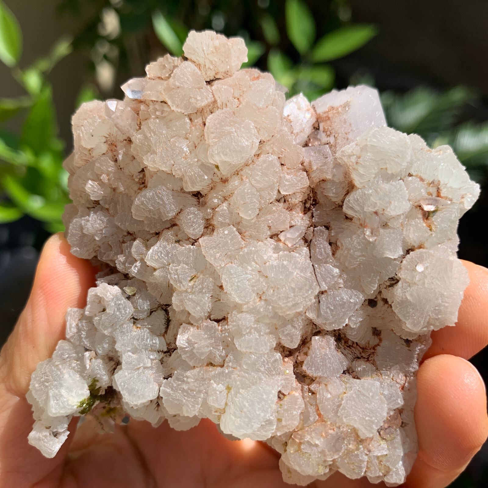 Natural 197g Fluorite Calcite Quartz Symbiont Mineral Specimen for Healing