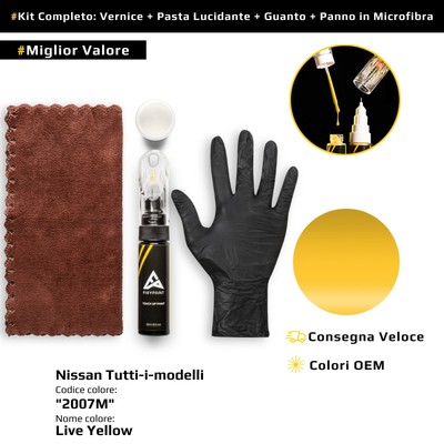 Touch Up Paint for Nissan All Models Kit 2007M Live Yellow