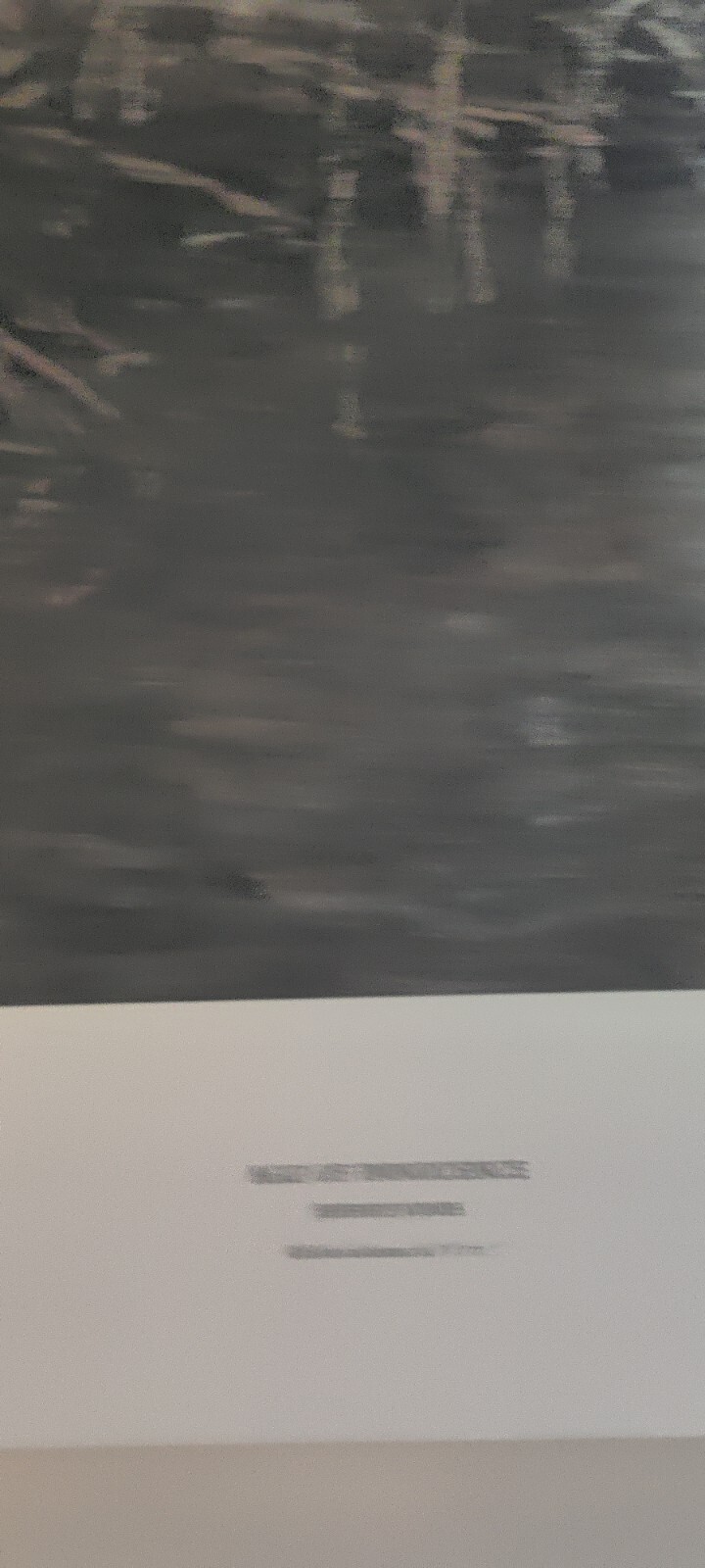 Picture 3 of 6