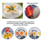Foto 5 di 8