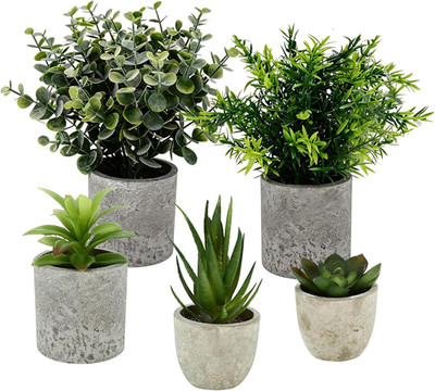5 Stück Mini Künstliche Pflanzen, Kunstpflanze Schlangenzunge Agave Sukkulente E