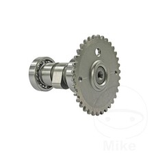 Nockenwelle passend f&uuml;r AGM GMX 450 2005-2015