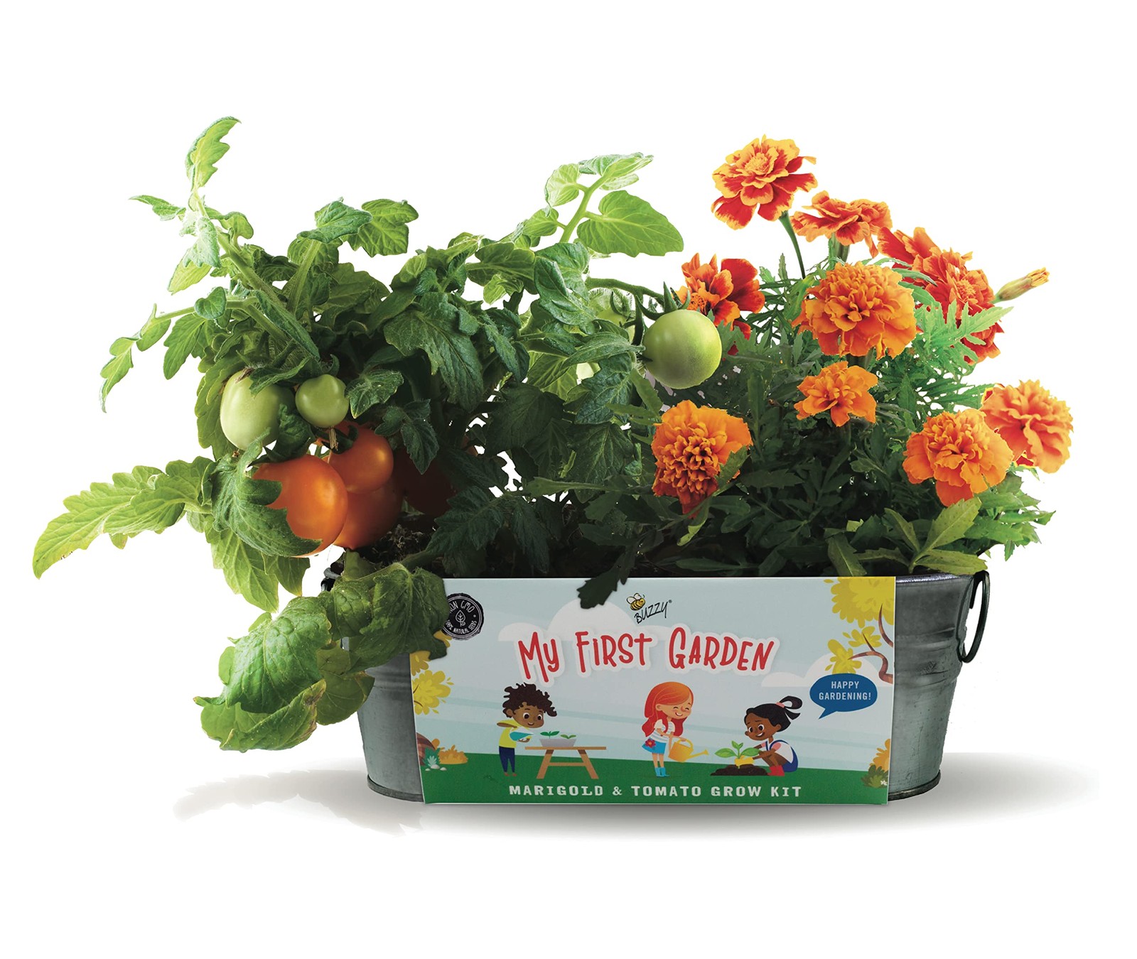 Гидропонное системы Seeds My First Garden