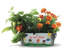 Гидропонное системы Seeds My First Garden
