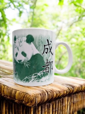 Vintage 2005 Starbucks Collector Series Chengdu City China Kaffeetasse Becher Panda