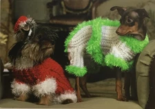 Papyrus- Christmas- FRIEND- Humor- Two Dogs In Outfits