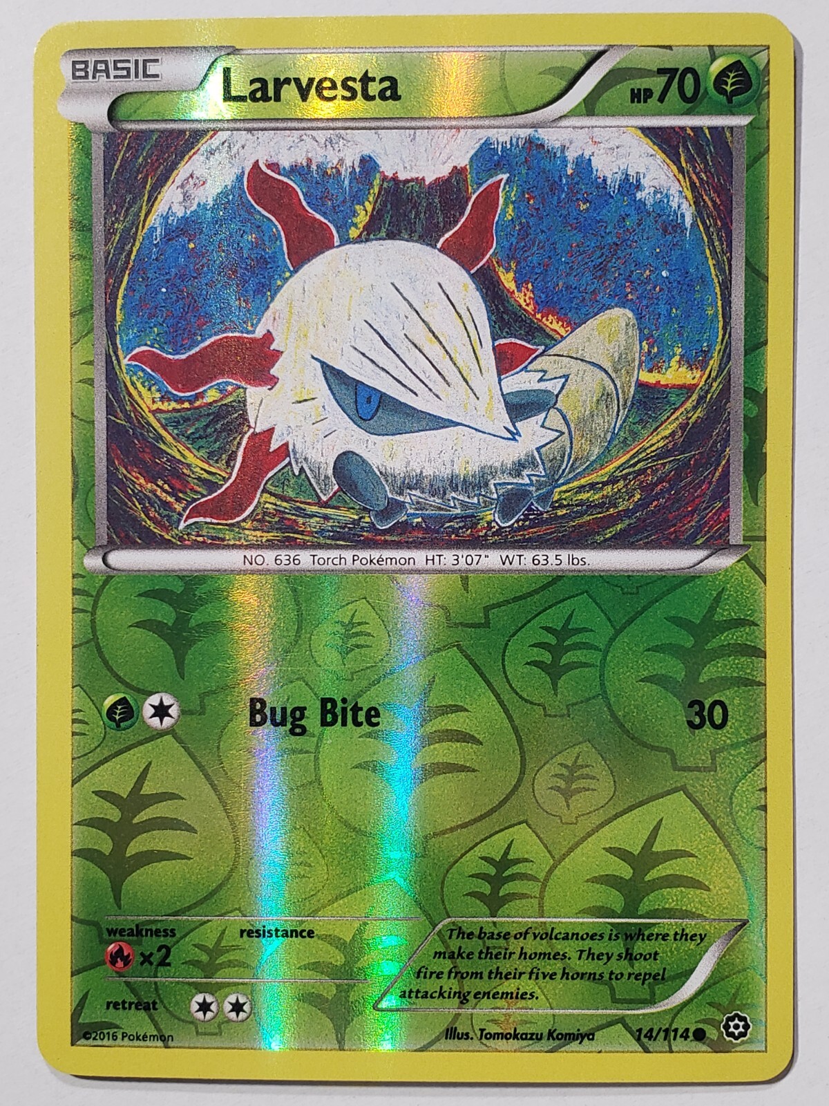 REVERSE HOLO Larvesta 14/114 VLP / NM - Steam Siege Pokemon Card Tomokazu Komiya