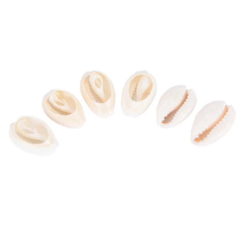 Shell/Coral Jewelry Making Charms