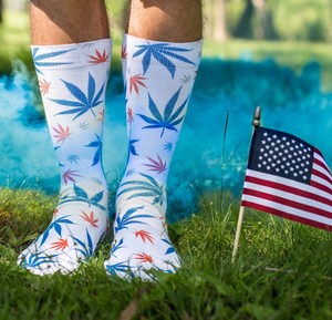 SOCKS AMERICA ODD SOX