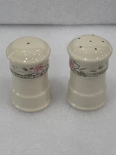 Steelite International England Salt & Pepper Shakers!