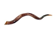 Shofar Kudu Yemenite Horn Between 22"- 24 Kosher Polished Free Odor Neutralizer