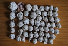 50 antique german doll heads,bisque
