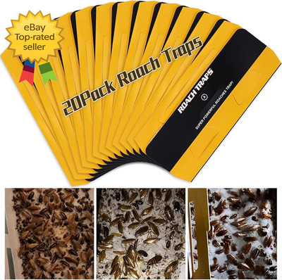 20 Pack Roach Traps, Cockroach Traps Indoor Home, Glue Roach Traps, Child & Pets
