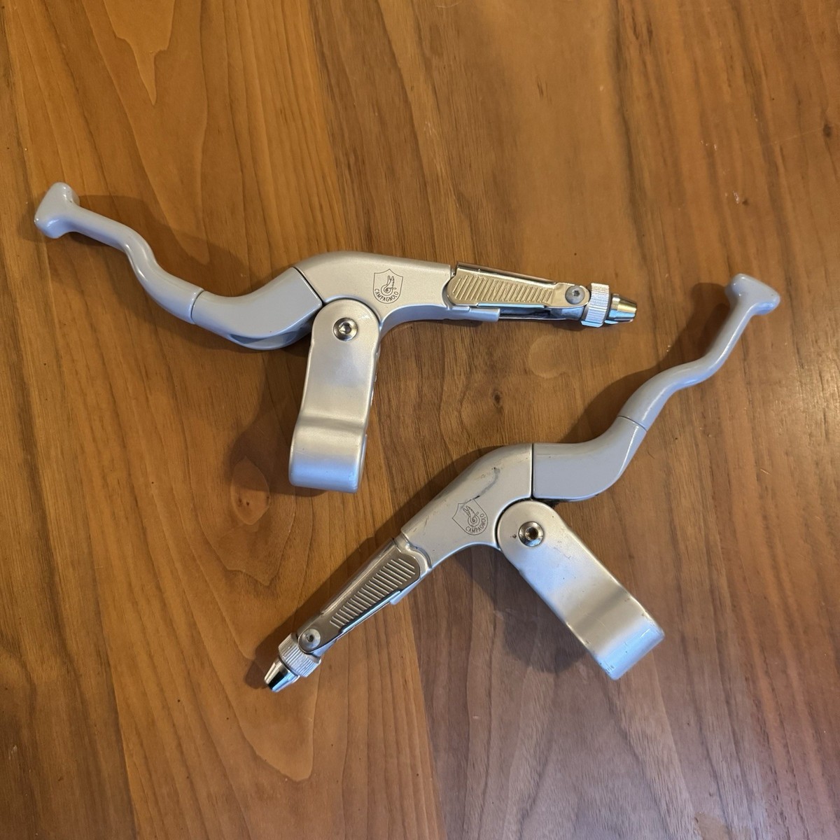 Campagnolo Euclid Mountain Bike Levers Vintage | eBay