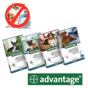 advantage 250 flea treatment for dogs