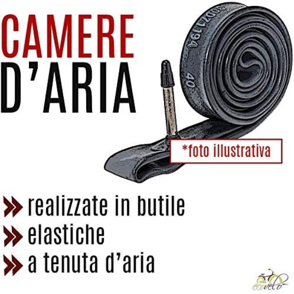 Imagen 4 de 6