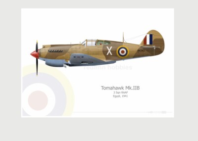 Warhead Illustrated Tomahawk  Mk.IIB 3 Sqn RAAF X Aircraft Print
