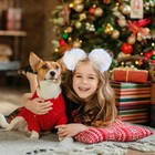 Foto 12 di 12