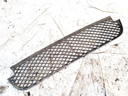 5111341620304 Stoßstangengrill vorne Mitte 51113416203-04 BMW X3 DE1966046-01