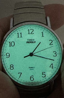 Timex Mens Indiglo E8 1997 Easy Reader Watch 34MM 6.75