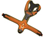 Follow 3 Steckverschlüsse orange Gr. M | JAGDHUNDE ZUBEHÖR