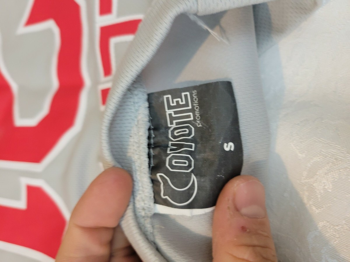 テツナリ 未使用クレメンス レッドソックス ＃21オーセンティックジャージ Pawtucket red sox shirt #21 Roger Clemens Promo Boston Minor
