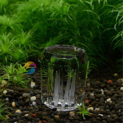 8 Hole snail trap free bait for aquarium fish_plants tank Planarian leec._ro - Picture 2 of 9