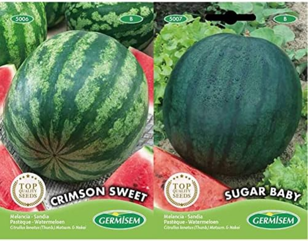 Crimson Sweet Semi di Anguria 3 g