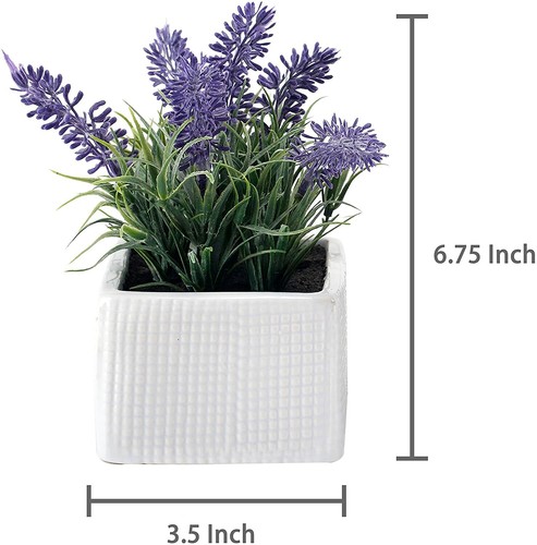 Purple and White Plants in White Textured Ceramic Pot, Plant Container, Set of 3 - Picture 4 of 5