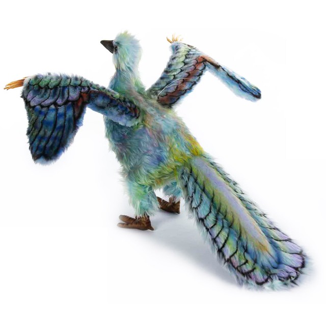 archaeopteryx plush