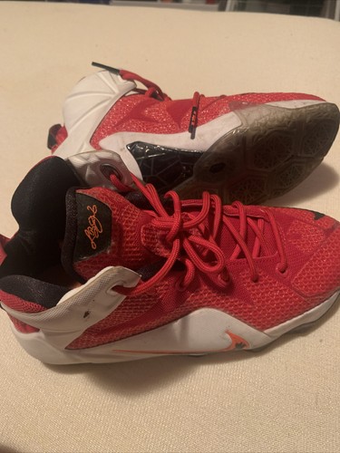 lebron 12 heart of a lion